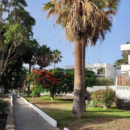 Diosa Diana Apartment Costa Del Silencio Exterior photo